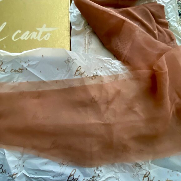 Vintage 2 Prs BEL CANTO Seamless Micro Mesh Nylon Stockings Size 10 1/2 Gala NIB - Picture 5 of 7